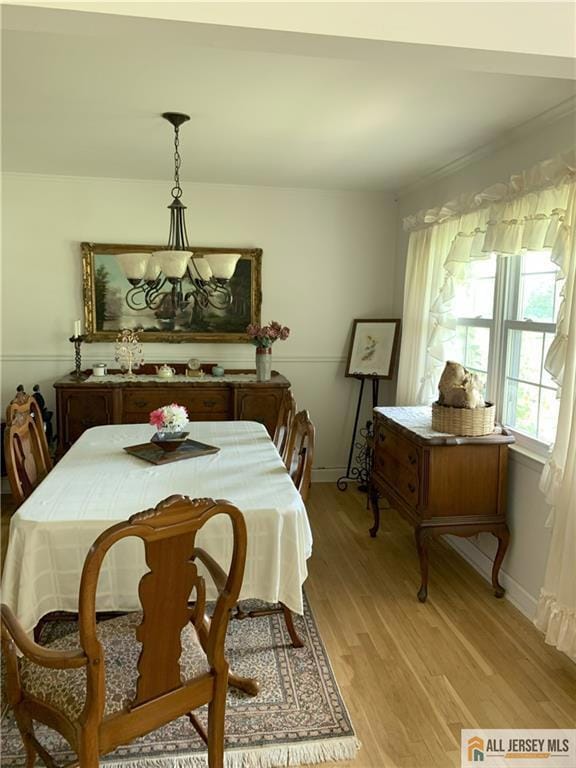 15 Willow Run Ln, Belle Mead, NJ 08502 - photo 4