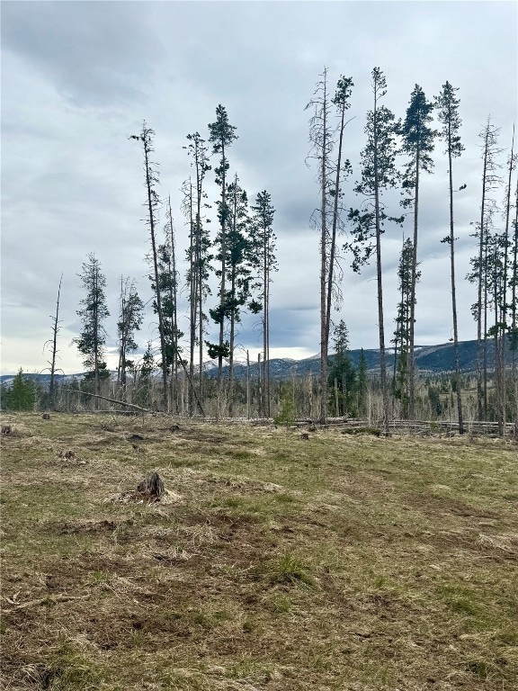 View of undeveloped land