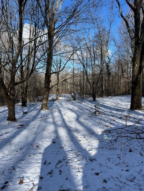 6975 Echo Mountain Rd, Springwater, NY 14560 - photo 2