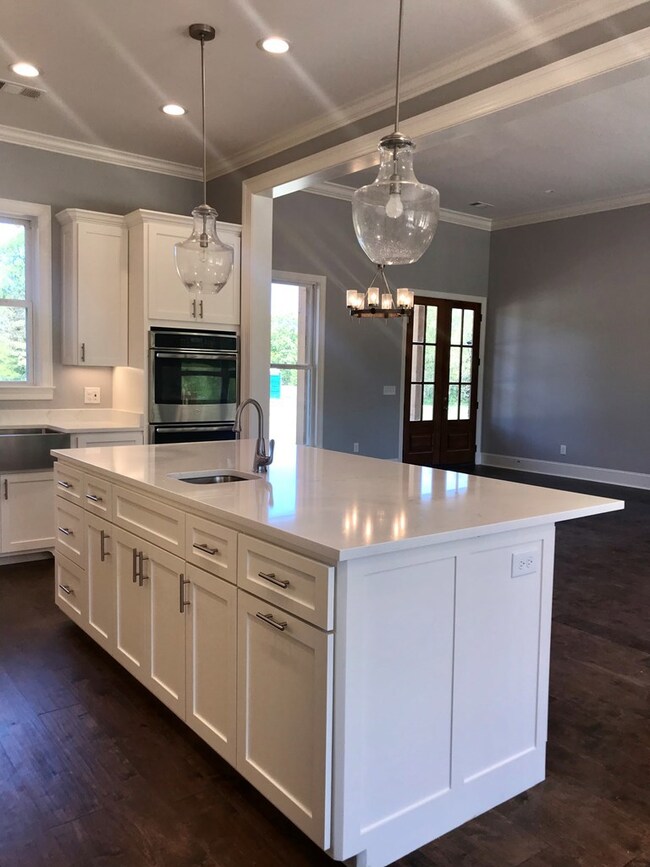 150 Downing St, Oxford, MS 38655 - photo 5