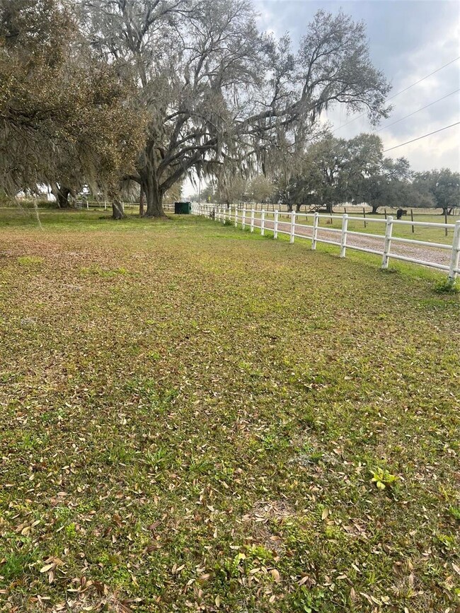 3060 Lanier Rd, Zephyrhills, FL 33541 - photo 2