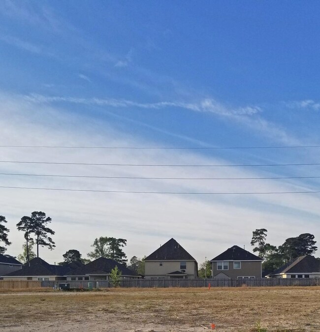 10954 Spring Brook Pass Dr, Humble, TX 77396 - photo 6