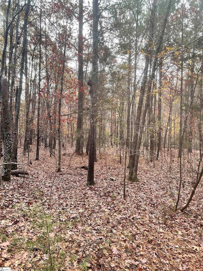 00 Harris Springs Rd, Cross Hill, SC 29332 - photo 3