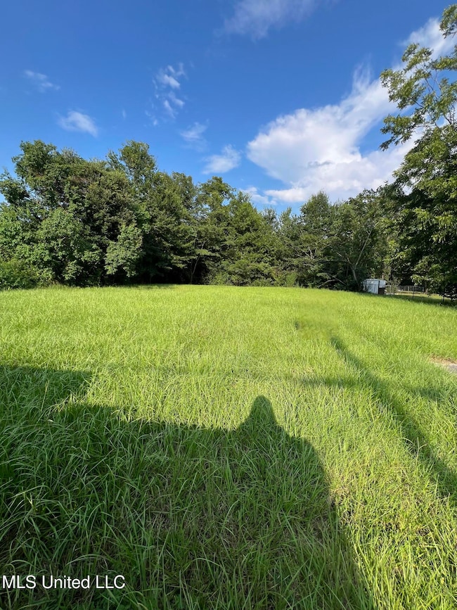 441 Park St, Wiggins, MS 39577 - photo 2