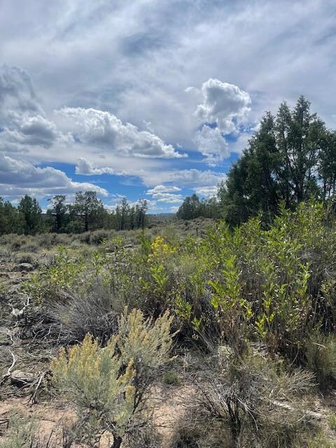 1091 S Old Us Hwy 89, Hatch, UT 84735 - photo 7