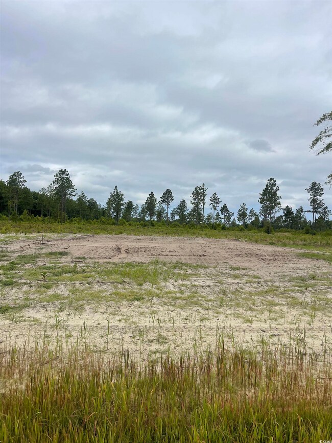 2832 Scarbrough Dr unit LOT 4, Loris, SC 29569 - photo 2