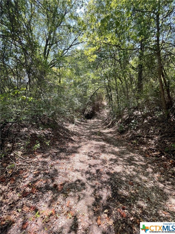 TBD Oak Mott Rd, Bruceville-Eddy, TX 76524 - photo 4