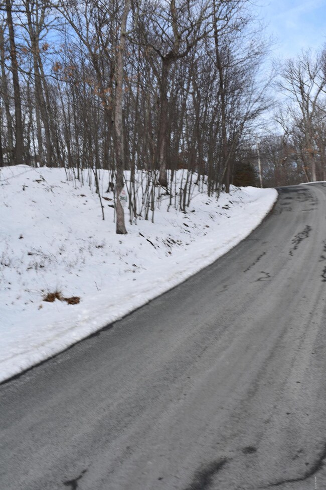 Lot 725 Locust Dr, Dingman Township, PA 18337 - photo 5