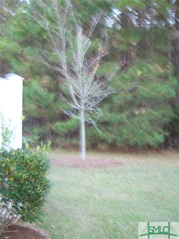 View of backyard