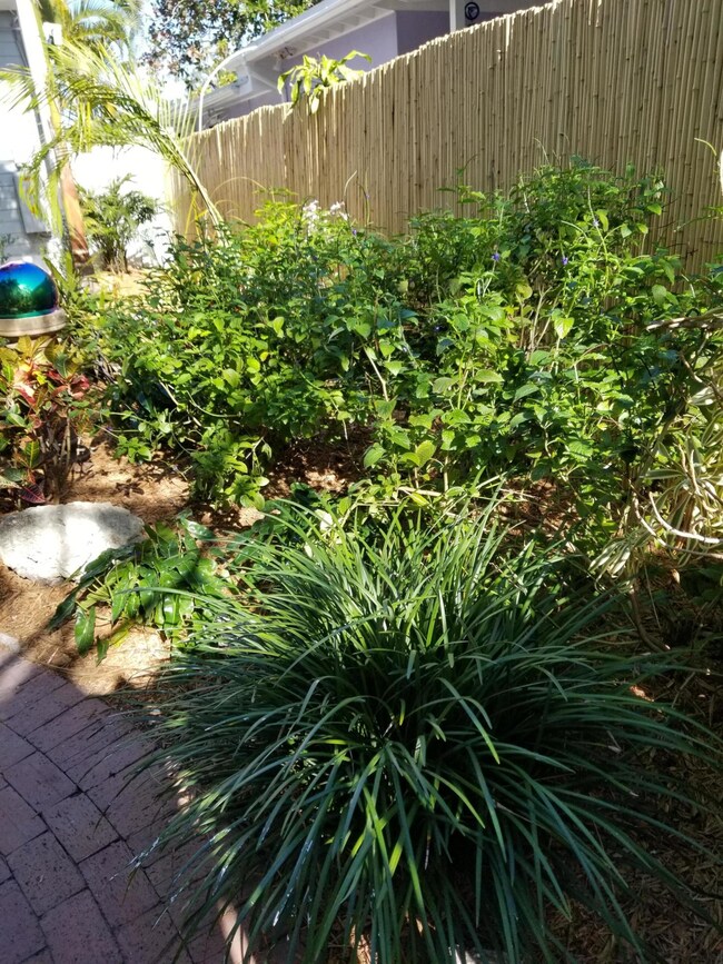 yard