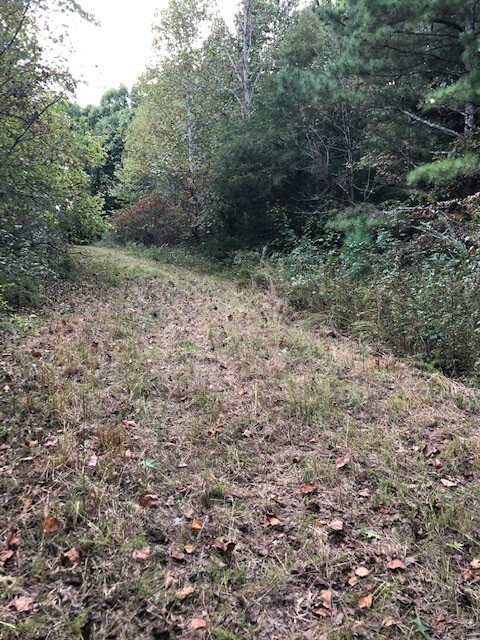 0 Cowhorne Hollow Rd unit RTC2300968, Prospect, TN 38477 - photo 5