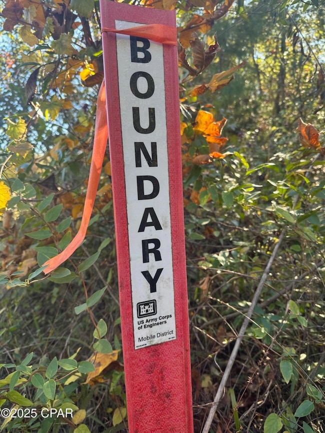 0 Parramore Rd, Sneads, FL 32460 - photo 6