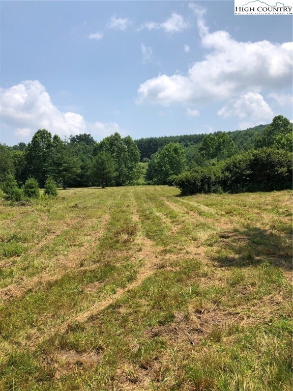 Partially cleared lower section of property