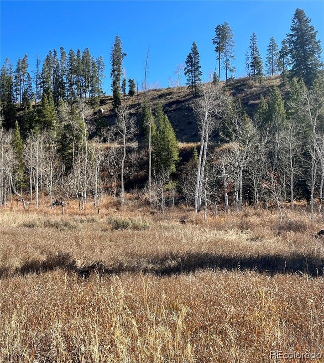 Flat site with trees