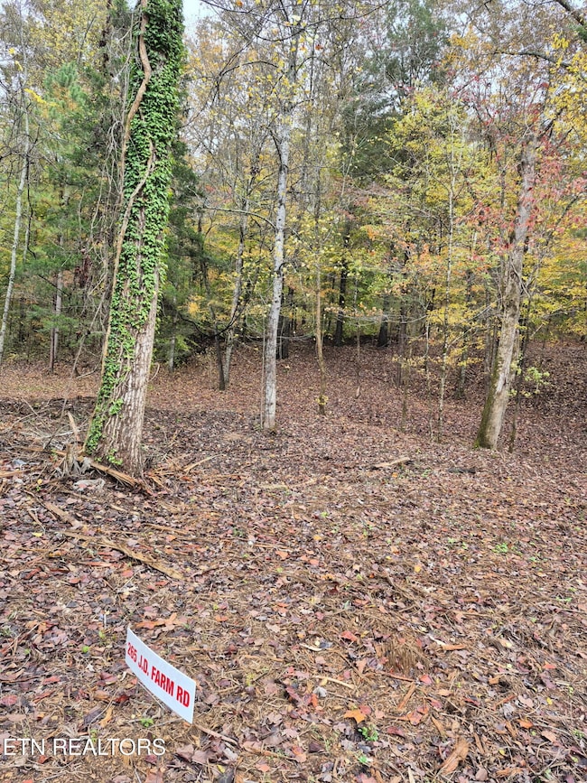 265 Jd Farm Rd, Tellico Plains, TN 37385 - photo 3