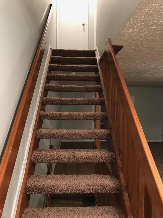 image11