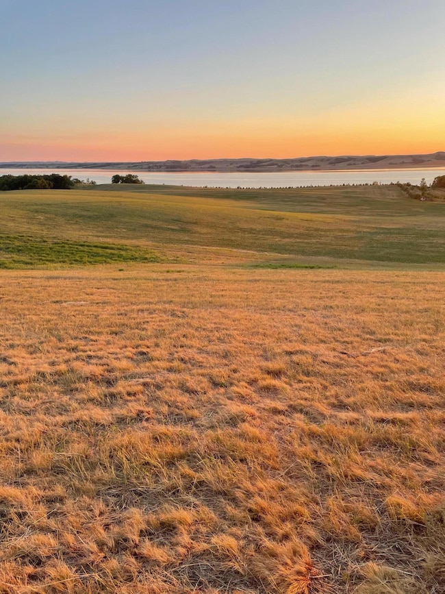 Lot View