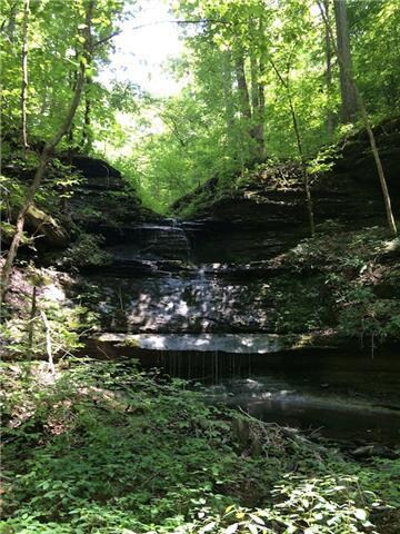 350 Rockhouse Rd, Linden, TN 37096 - photo 3