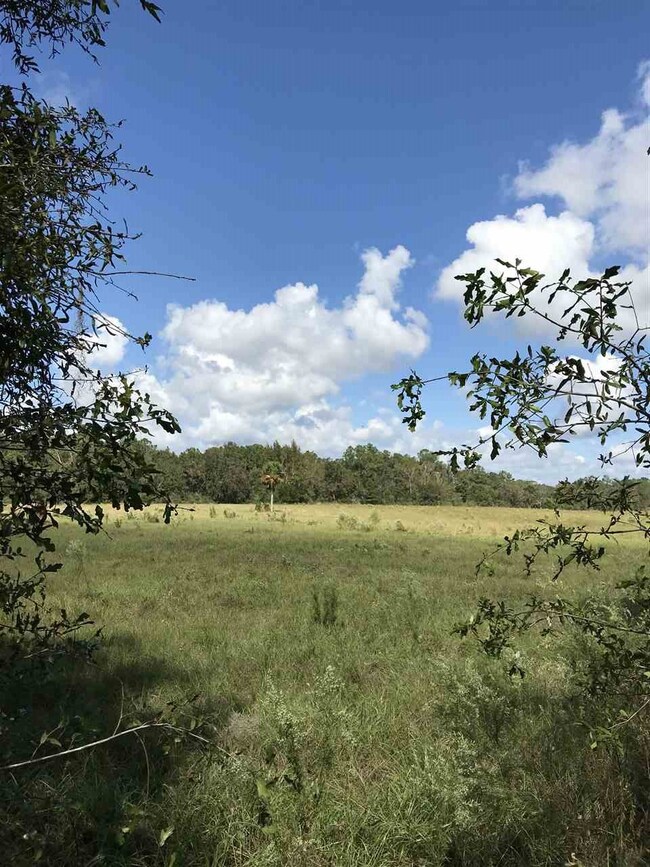xxx Rehwinkel Rd, Crawfordville, FL 32327 - photo 4