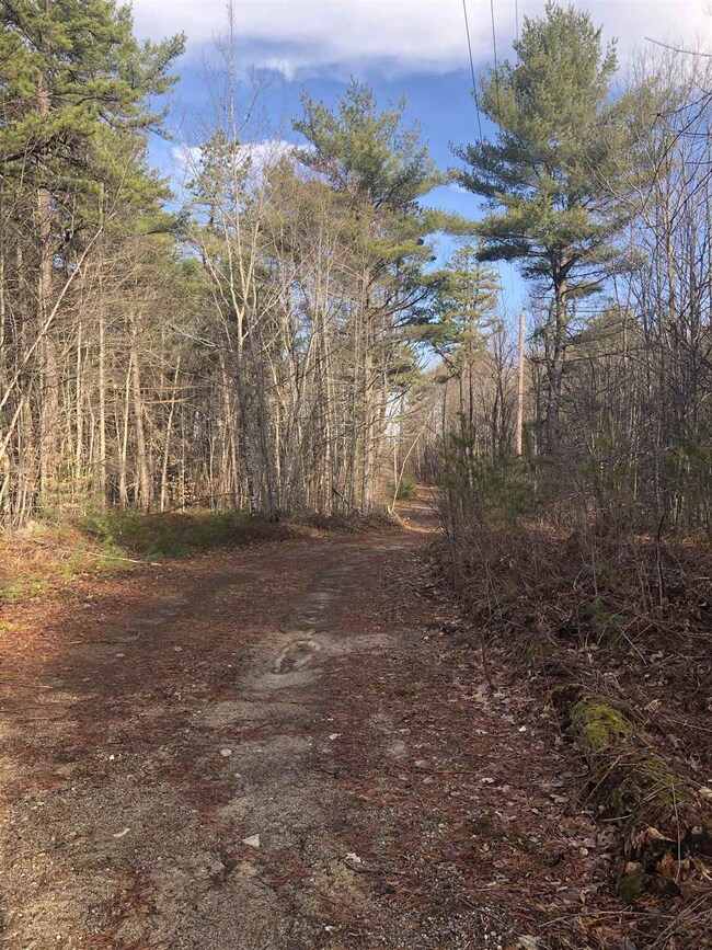 81 Duncan Lake Rd, Ossipee, NH 03864 - photo 4