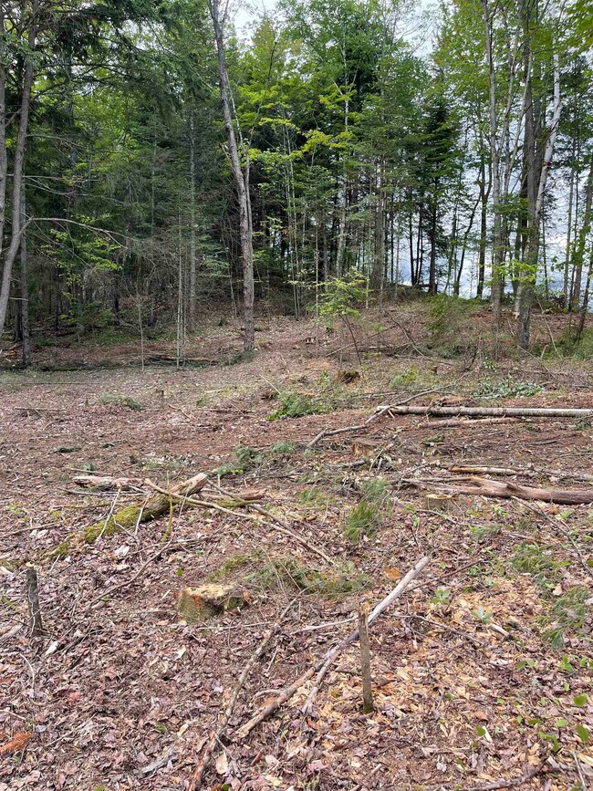 00 Vermont 102, Bloomfield, VT 05905 - photo 7