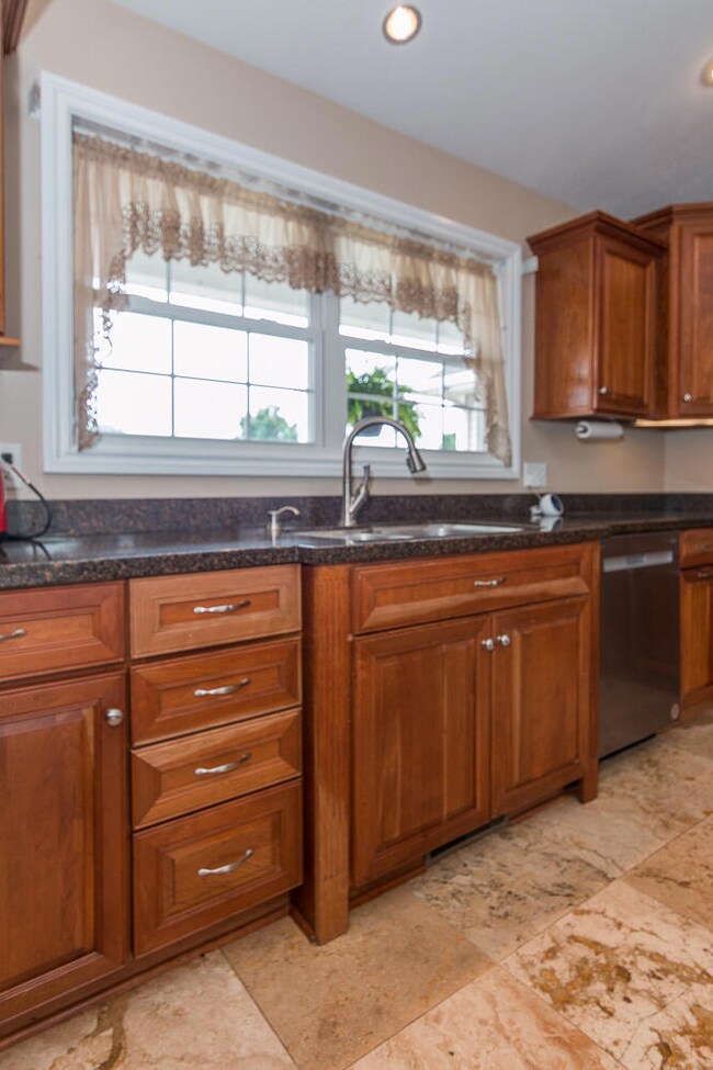 24505Palm-49