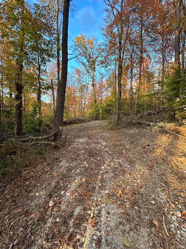 unlisted-address, Hamblen Township, IN 46164 - photo 5