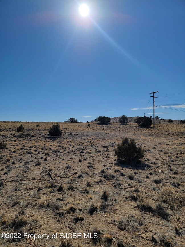 127 Road 3950, Farmington, NM 87401 - photo 2