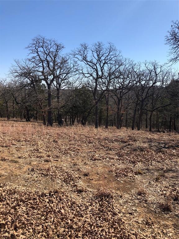 82 Oak Hills Dr, Pottsboro, TX 75076 - photo 3