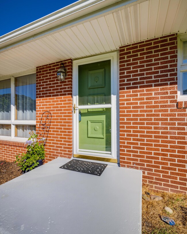 105 Horton Hwy, Fall Branch, TN 37656 - photo 5