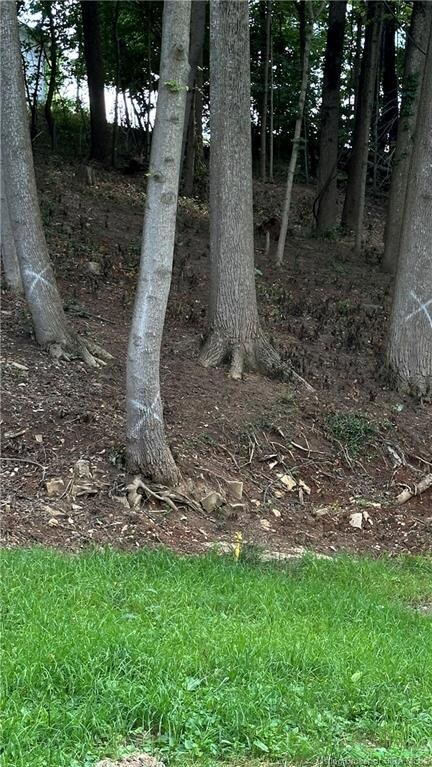 207 N Highway 337, Corydon, IN 47112 - photo 2