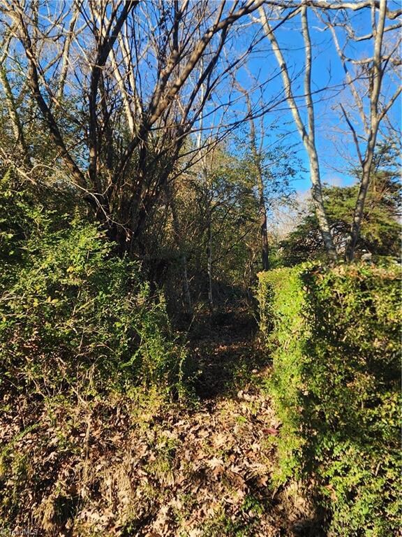 0 Wilson St, Asheboro, NC 27205 - photo 4