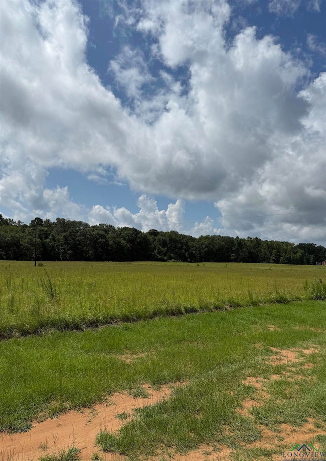 TBD Cr 317, Henderson, TX 75652 - photo 3