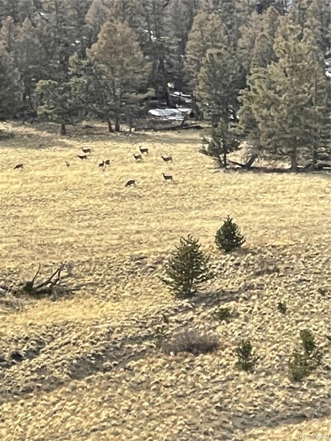 5123 Bar d unit 52, Como, CO 80432 - photo 4