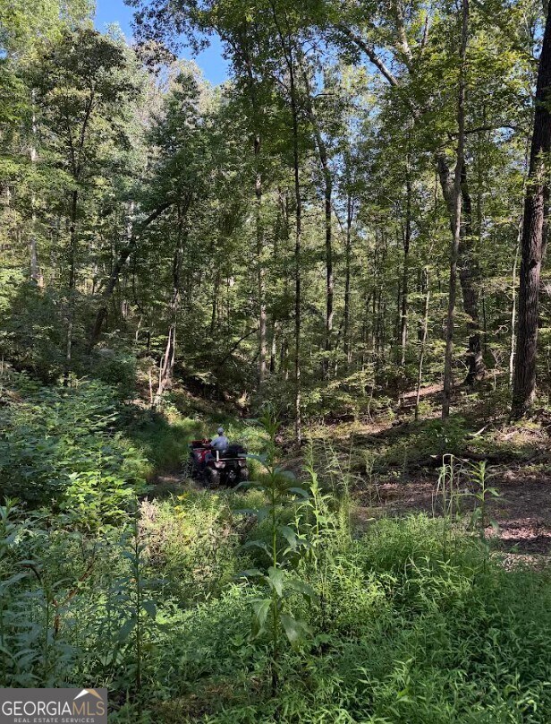 0 Turkey Ct unit LOT 42 & 46, Waco, GA 30182 - photo 2