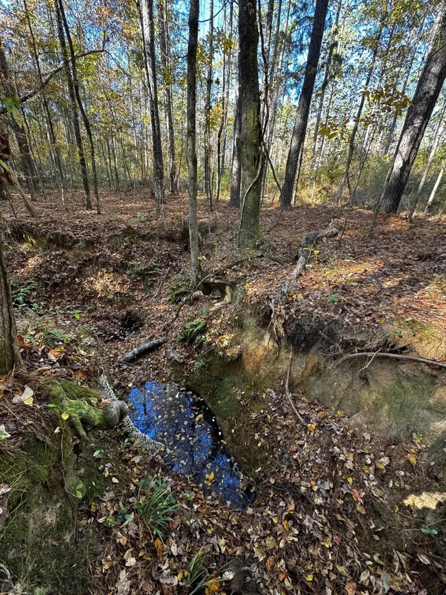 21 Lee Road 254, Salem, AL 36874 - photo 6