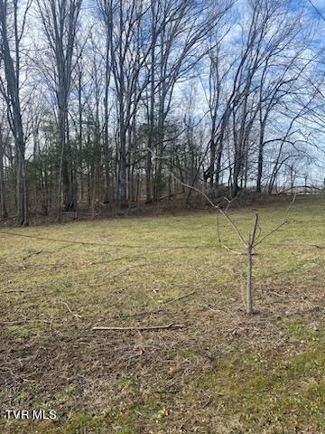 Lot 2 Bishop Loop, Greeneville, TN 37743 - photo 4