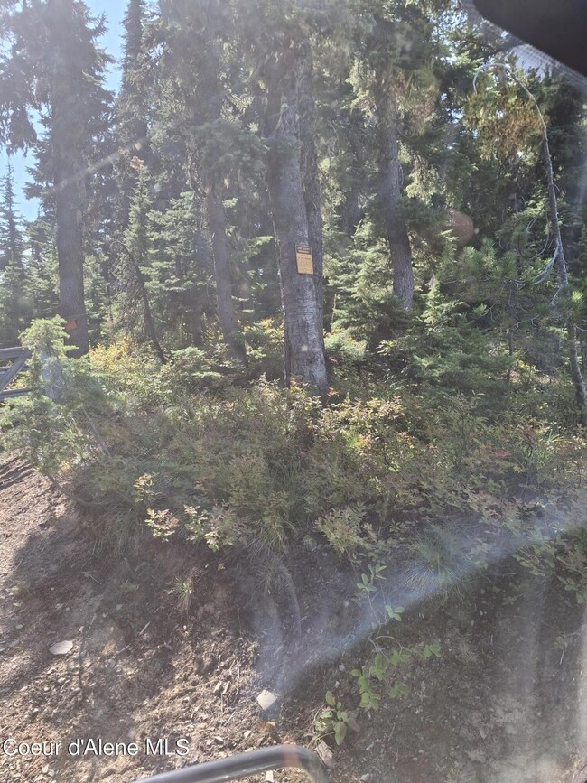 NKA Eagle Mining District, Murray, ID 83874 - photo 3