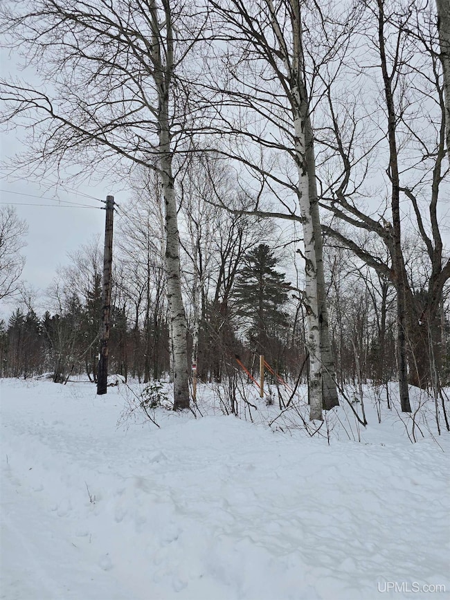 TBD Electric Park Rd, Calumet, MI 49913 - photo 7