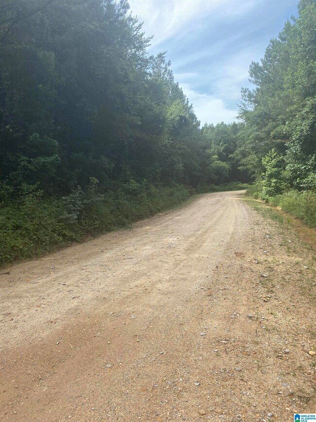 0 County Road 253 unit 10010200000008000, Clanton, AL 35046 - photo 4
