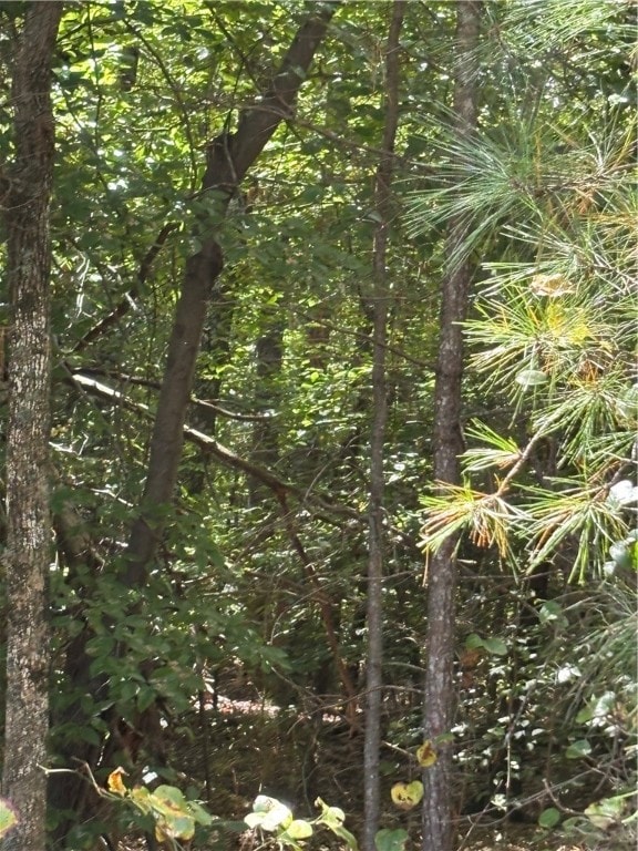 5655 Custis Millpond Rd, West Point, VA 23181 - photo 3