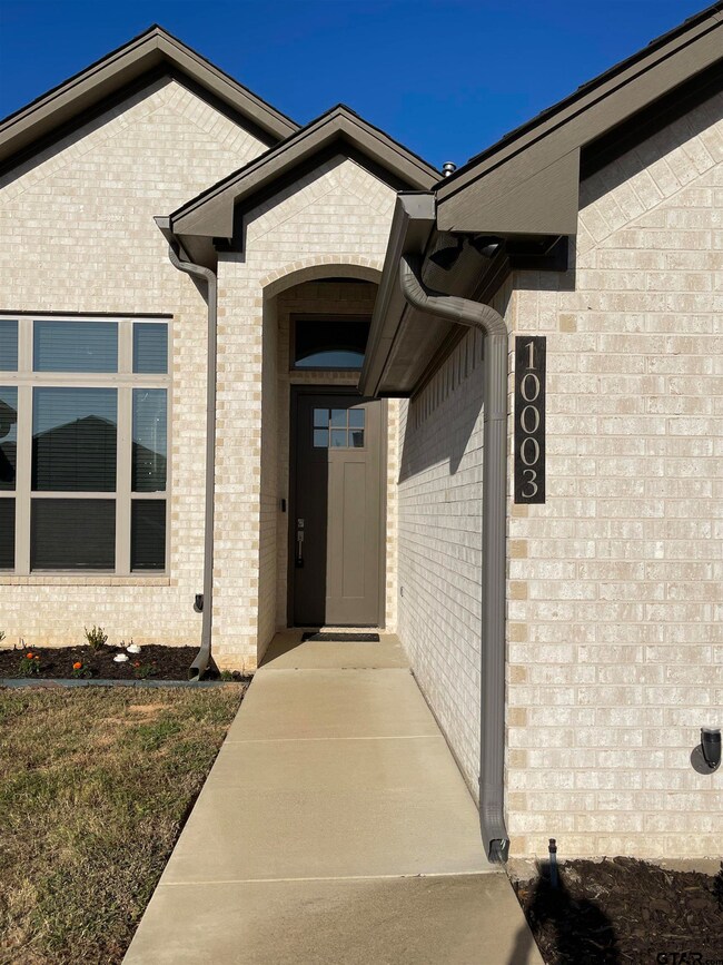10003 Dayspring Dr, Flint, TX 75762 - photo 2