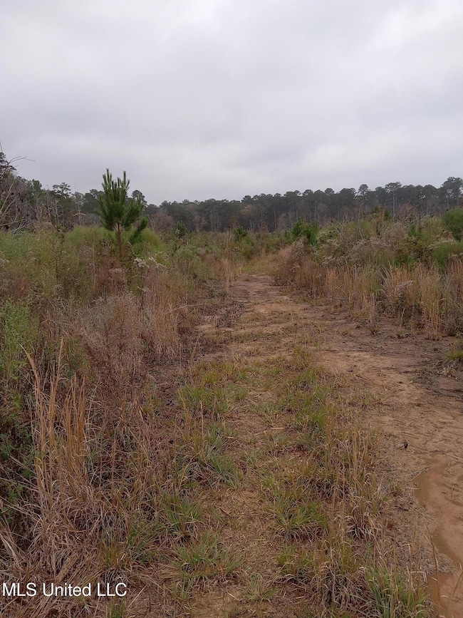 Tbd W Homochitto Rd, Gloster, MS 39638 - photo 4