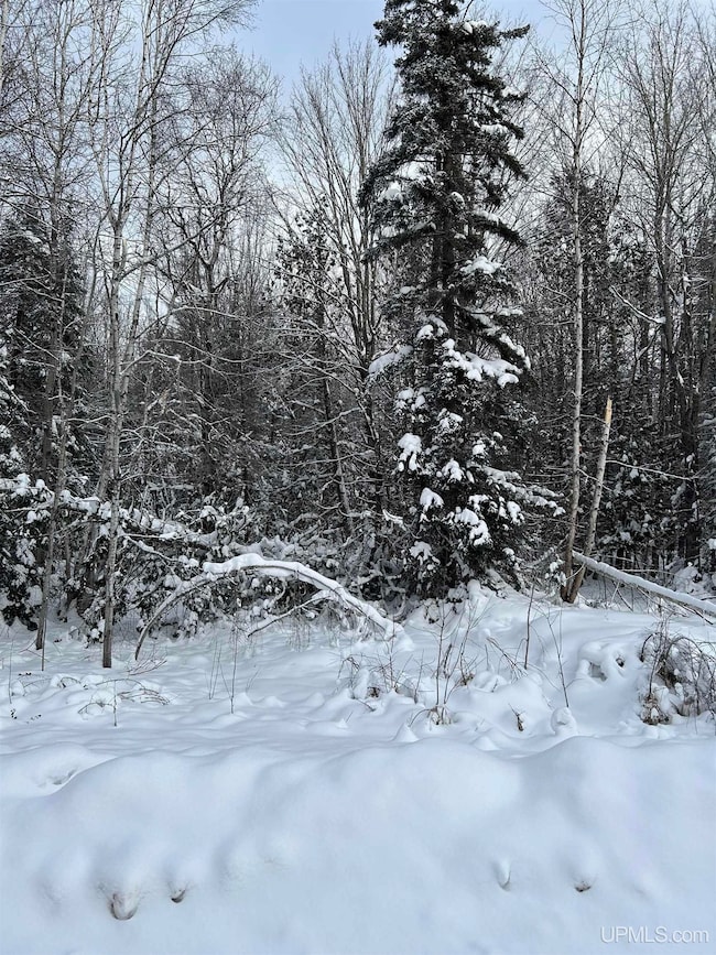 TBD Lot 1 Whitetail Dr, Torch Lake Township, MI 49945 - photo 3