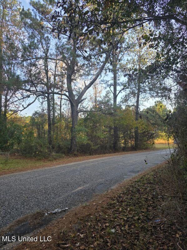 125 Moses Ln, Prentiss, MS 39474 - photo 6