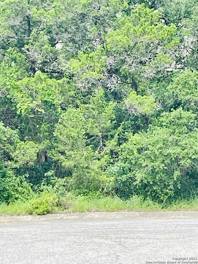 16626 Yaupon Valley, Helotes, TX 78023 - photo 3