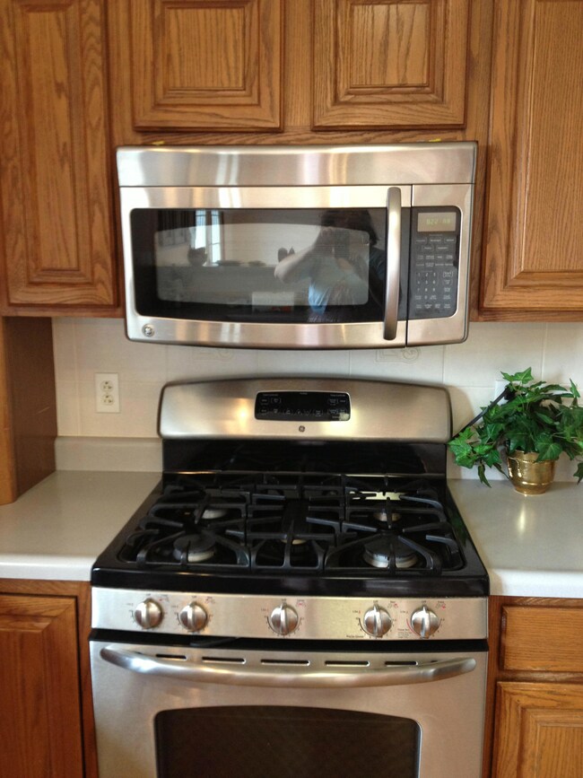 Stainless Gas Stove