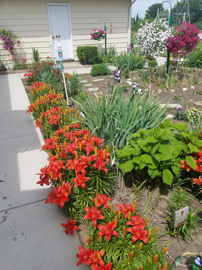 Gardens by back door