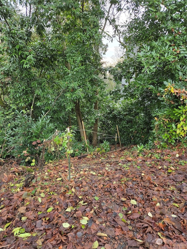 14014 41st Ave NE, Seattle, WA 98125 - photo 3