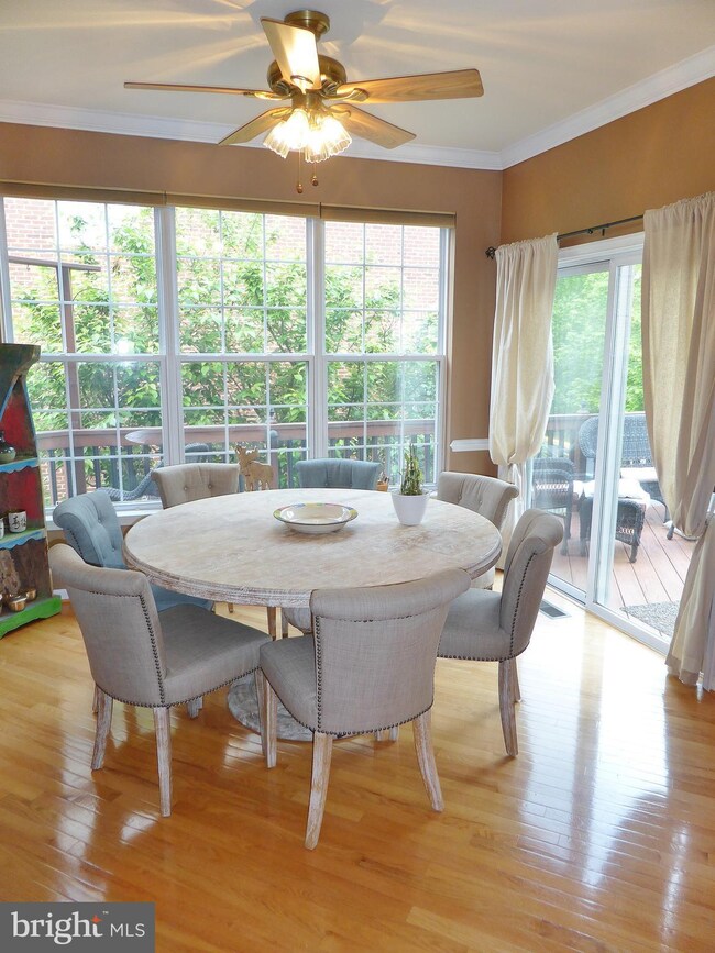 5280 Sandyford St, Alexandria, VA 22315 - photo 7